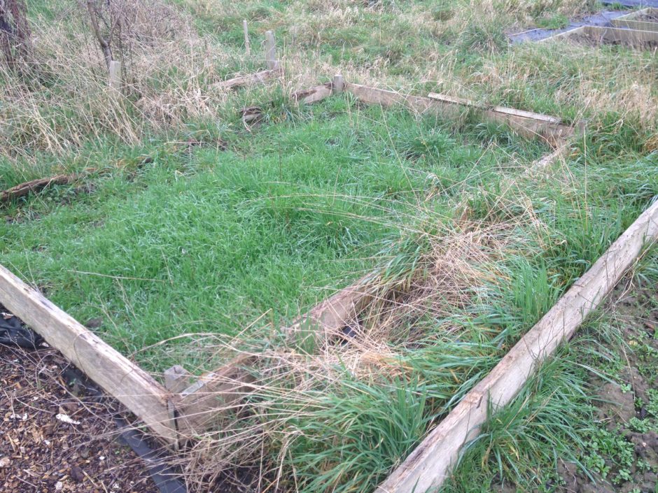 Taking over a new allotment plot On The Plot Taking over a new allotment plot On The Plot